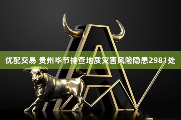 优配交易 贵州毕节排查地质灾害风险隐患2981处