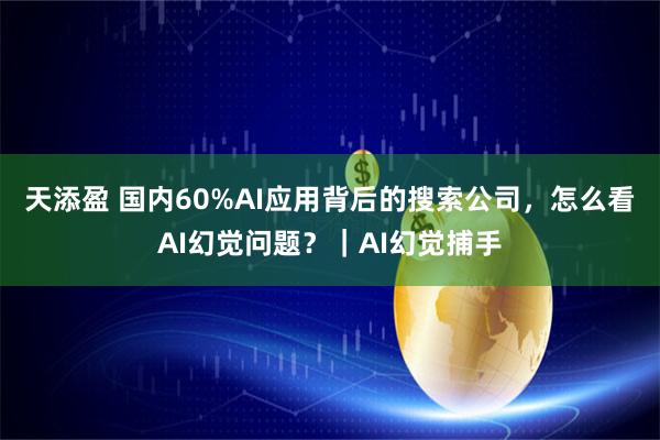 天添盈 国内60%AI应用背后的搜索公司，怎么看AI幻觉问题？｜AI幻觉捕手
