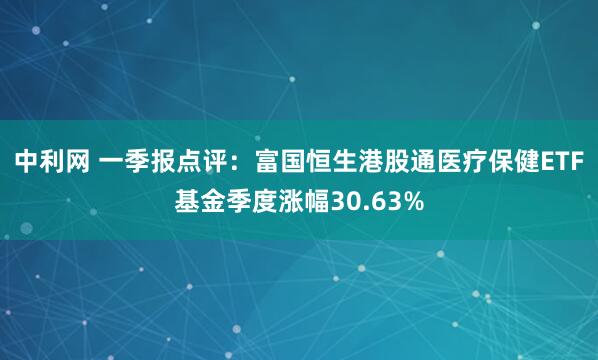 中利网 一季报点评：富国恒生港股通医疗保健ETF基金季度涨幅30.63%
