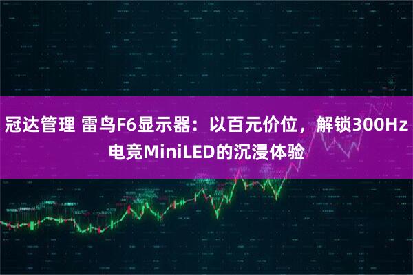 冠达管理 雷鸟F6显示器：以百元价位，解锁300Hz电竞MiniLED的沉浸体验
