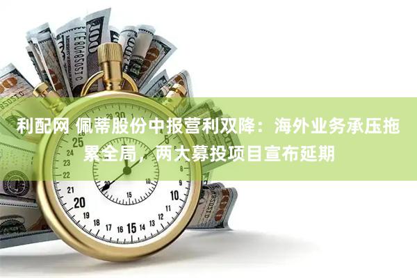 利配网 佩蒂股份中报营利双降：海外业务承压拖累全局，两大募投项目宣布延期