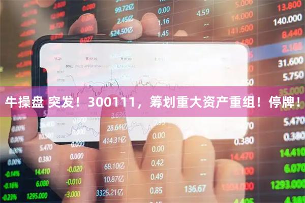 牛操盘 突发！300111，筹划重大资产重组！停牌！